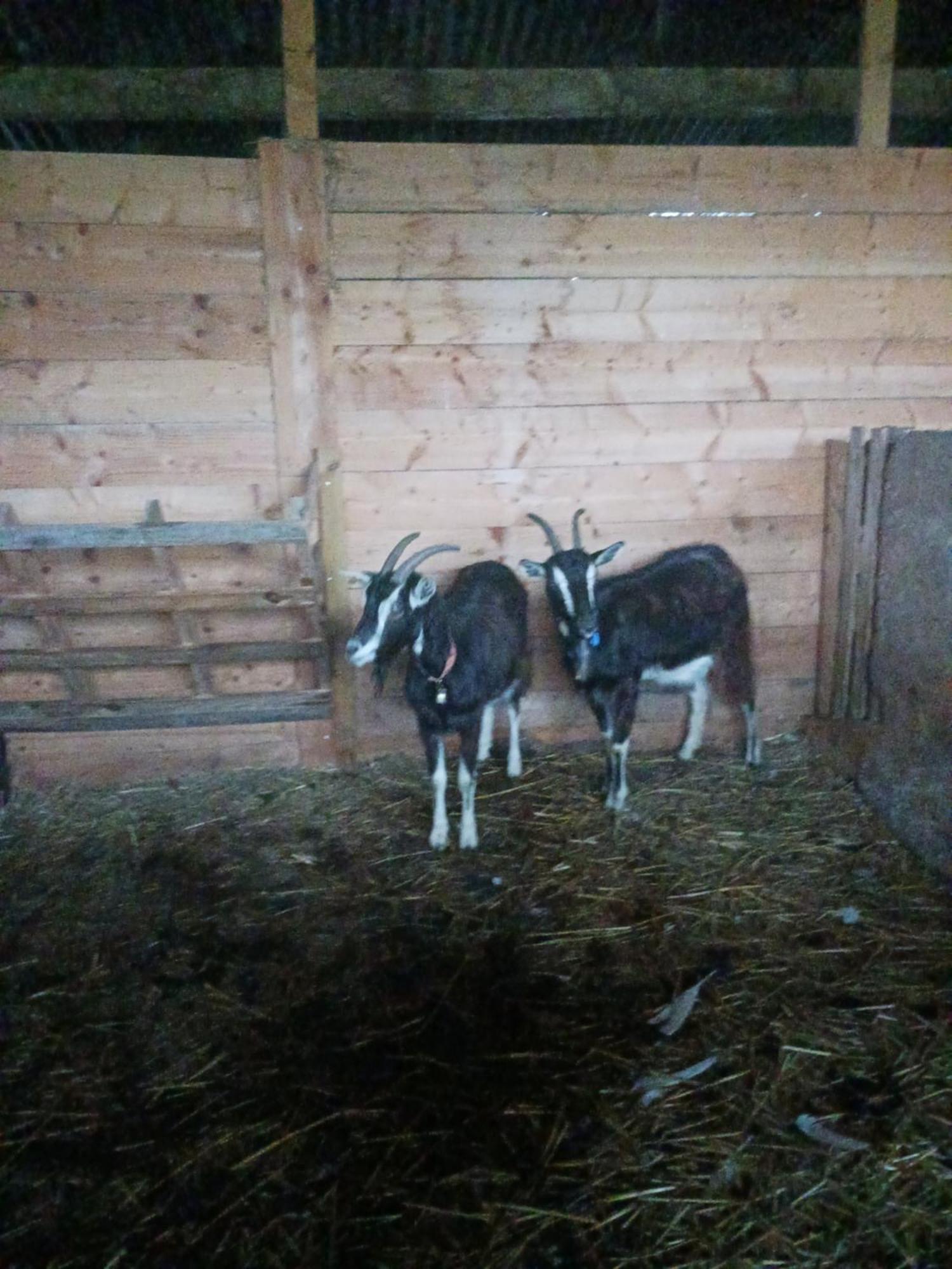 TréguierLa Ferme Stanczak公寓 外观 照片