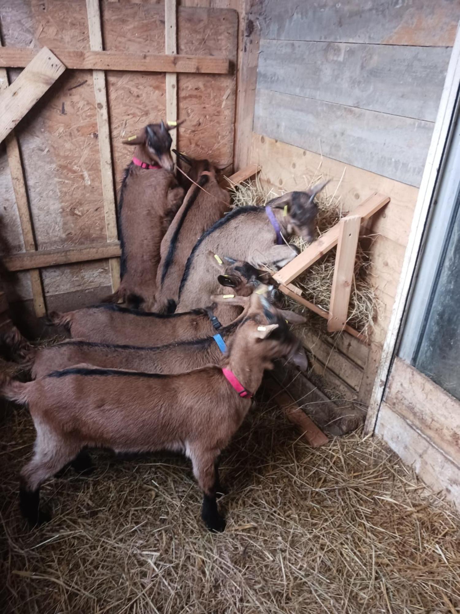 TréguierLa Ferme Stanczak公寓 外观 照片
