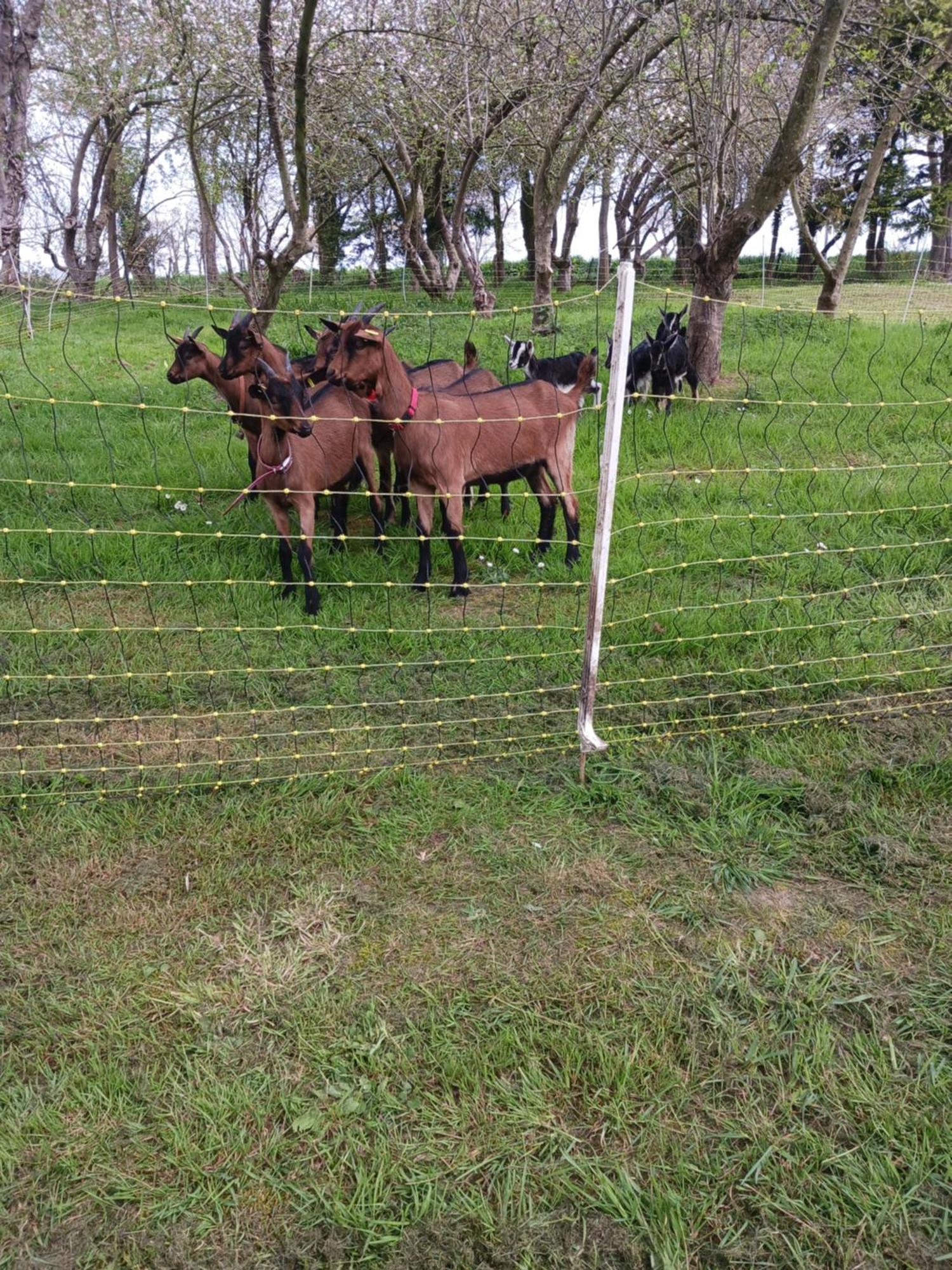 TréguierLa Ferme Stanczak公寓 外观 照片